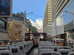 -Big Bus Tours 敞篷观光巴士