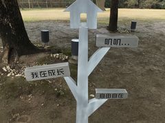 -苏州河梦清园环保主题公园