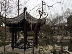 iphone_upload_pic-朱家角课植园