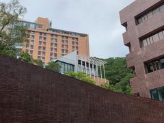 -香港大学