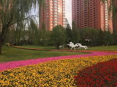 -迎泽公园