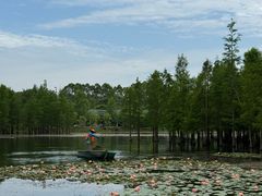 -白鹭湾湿地公园