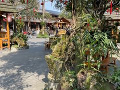 -青城甲(青城山店)