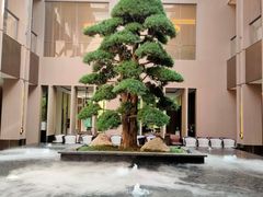 -外滩·云南人家(昆明旗舰店)