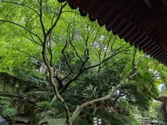 -西泠印社