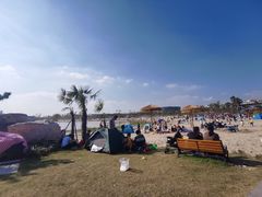 -九龙湖公园