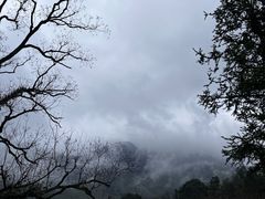 -塔川景区