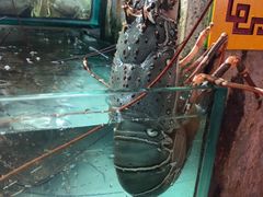 -班赞海鲜市场