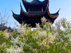 -水西公园