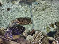 -福州罗源湾海洋世界旅游区