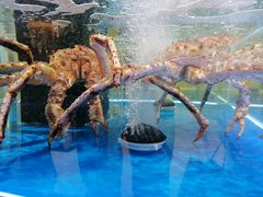 -哈尔信阳光农园超市(沈阳三台子万象汇店)