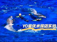 -多彩贵州城极地海洋世界