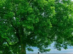 -东钱湖旅游度假区