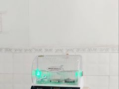 -岁福祥老母鸡汤面馆(阳曲路店)