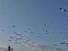-刘公岛景区