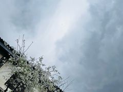 -崇圣寺三塔文化旅游区