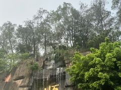 -三水森林公园