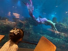 -海棠湾洲际-涛·海底餐厅·美人鱼·自助餐·海底隧道
