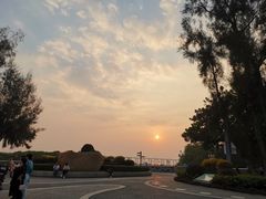 -宝安西湾红树林湿地公园