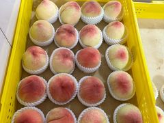 -老袁家蜜桃农场·阳山水蜜桃