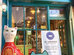 -猫咪博物馆(顶澳仔猫街店)