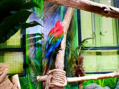 -海合安武汉极地海洋公园