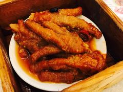 凤爪-乙龍天