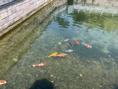 -前童古镇