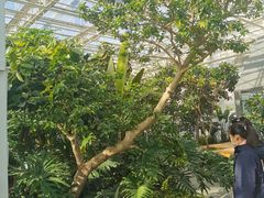 -中国农科院国家农业科技展示园