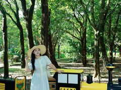 -东南花都花博园