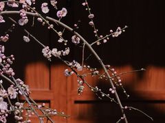 -香积寺