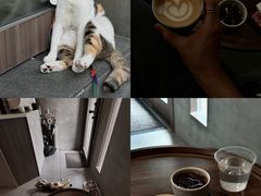 -Again Coffee Roaster(香蜜湖店)