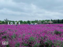 -嘉北郊野公园