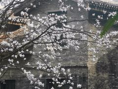-大金鹰园