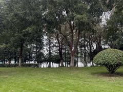 -滨湖塘西河公园