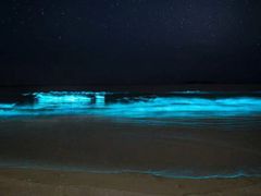 -南澳海滩