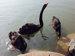 iphone_upload_pic-上海怡沁园度假酒店