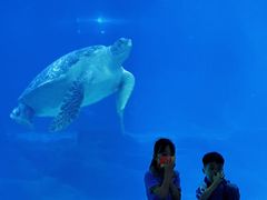 -福州罗源湾海洋世界旅游区