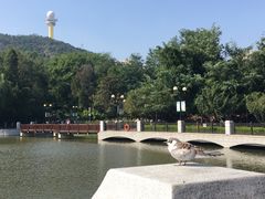 -大连植物园