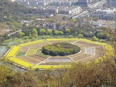 -西湖风景区-江洋畈生态公园