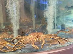 -海底捞大排档火锅(打浦路店)