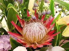 -春风松月楼(七宝万科店)