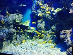 -福州罗源湾海洋世界旅游区