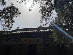 -洛阳白马寺