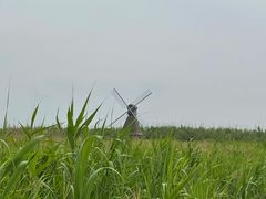 -宁波杭州湾国家湿地公园