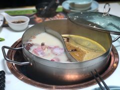 -洪氏嗨捞·猪肚鸡火锅(阳光天地店)