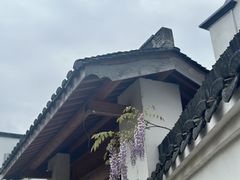 -东梓关景区村庄