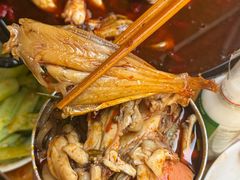 -鸿顺老铁锅美蛙鱼府(解放碑店)