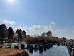 -宁波杭州湾国家湿地公园