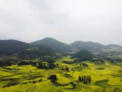 -牛街螺丝田